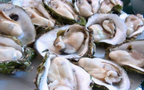 牡蛎怎么吃 牡蛎怎样做好吃