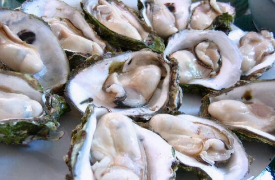 东盛澜丨牡蛎怎么做好吃 牡蛎的最佳吃法