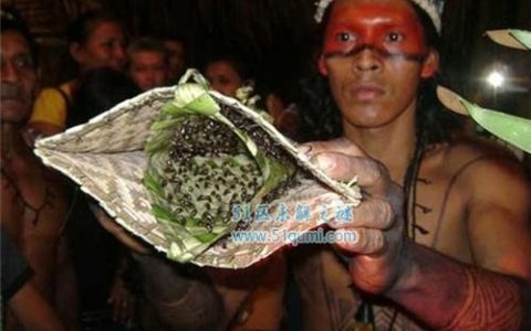 原始部落的奇葩风俗 印尼割礼仪式最残忍