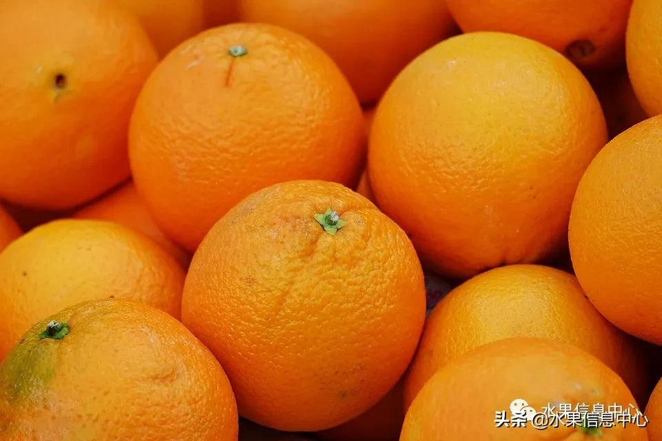 中国橙子主要产地分布图，来看全国橙子产地大pk