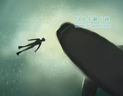 世界上最孤独的鲸鱼 "52赫兹"也许并不孤独