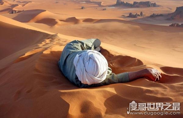 世界最大的沙漠，撒哈拉沙漠接近中国国土面积(906.5万平方千米)