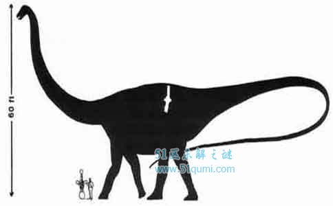 易碎双腔龙:世界上最大的恐龙 体长60米体重达到120吨