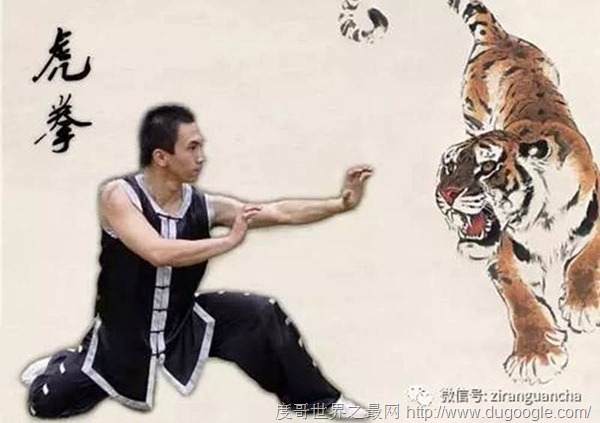 盘点中国十大以动物命名的中国拳法