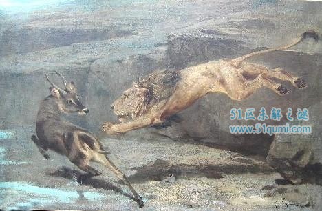 欧洲狮已灭绝的史前狮子 欧洲狮与洞狮是同科不同属动物