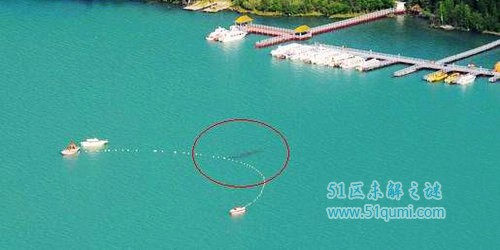 巨型哲罗鲑体长数米生性凶猛 巨型哲罗鲑是喀纳斯湖水怪吗?