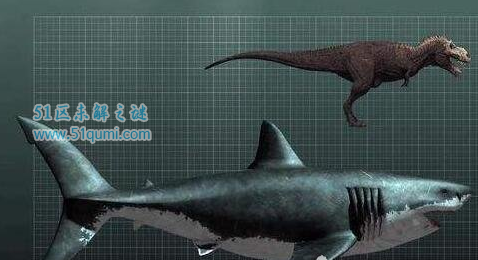 史前最强生物巨齿鲨，其撕咬力远超霸王龙
