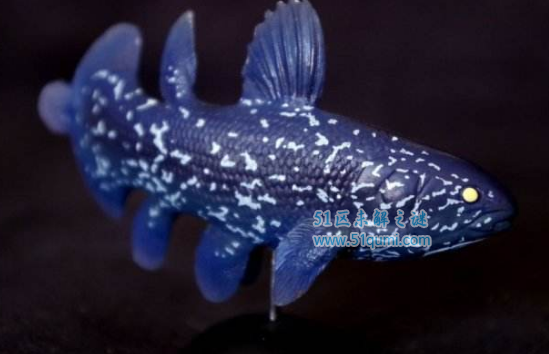十大世界最恐怖的海底生物，腔棘鱼活的最长久！