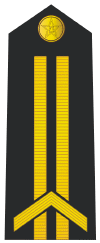 87式士官军衔肩章（中国87式军衔(武警部队警衔)标识）
