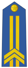 87式士官军衔肩章（中国87式军衔(武警部队警衔)标识）