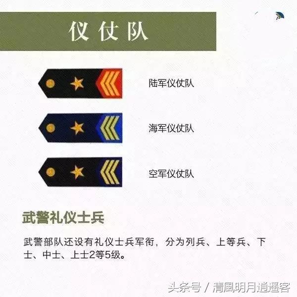 中国军衔肩章（八张图教你看肩章识军衔）