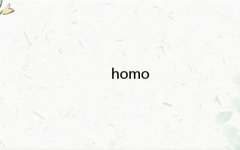 homo无处不在什么梗 homo什么意思