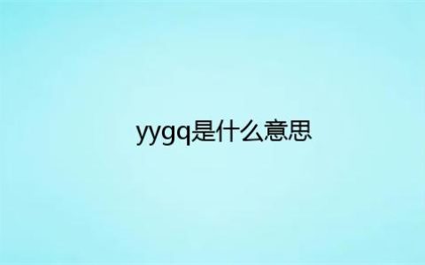 yygq是什么意思网络语言