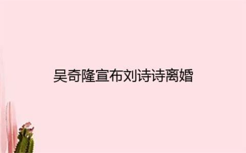 吴奇隆宣布刘诗诗离婚是怎么回事