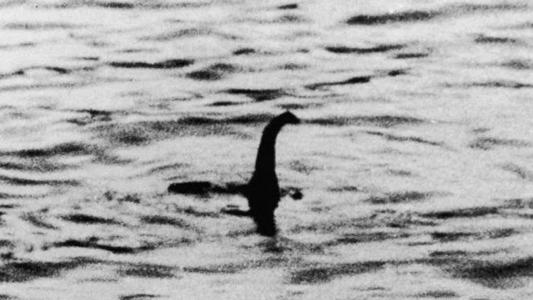 尼斯湖水怪照片真相如何，至今仍是未解之谜(疑似未灭绝的蛇颈龙)