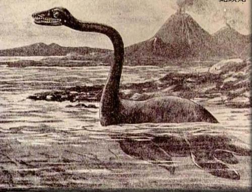 尼斯湖水怪照片真相如何，至今仍是未解之谜(疑似未灭绝的蛇颈龙)