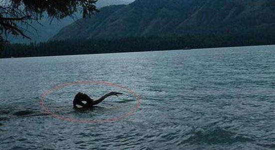 喀纳斯湖水怪之谜，湖中惊现巨型不明生物(疑似未灭绝的哲罗鲑鱼)