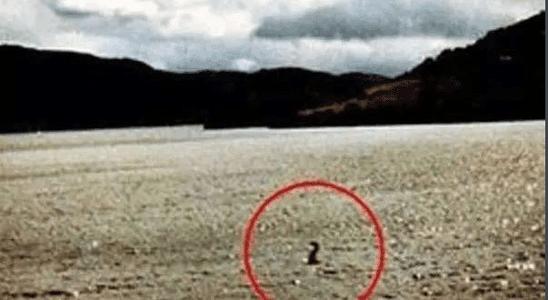 青海湖水怪之谜，体长超过14米可掀起巨浪(疑似远古生物)