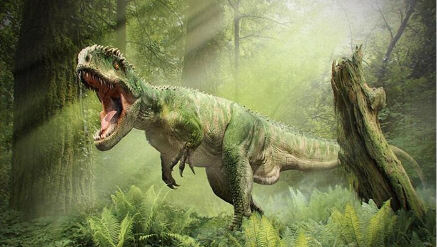 史上最大的恐龙排名，易碎双腔龙排第一(体重达130吨)