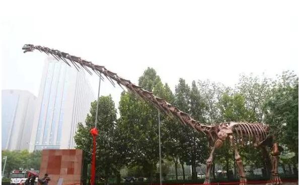 史上最大的恐龙排名，易碎双腔龙排第一(体重达130吨)