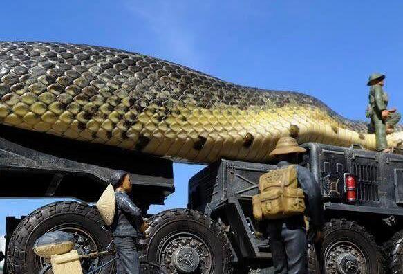 红海巨蛇事件是真的吗，体长500米的巨蛇(真相让人笑傻)