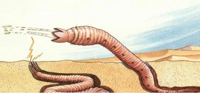 蒙古死亡蠕虫是什么，一种有毒会放电的虫子