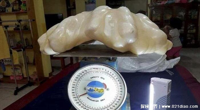 世界上最大的珍珠，菲律宾巨型珍珠(重达68斤)
