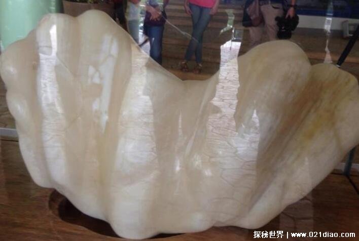 世界上最大的珍珠，菲律宾巨型珍珠(重达68斤)
