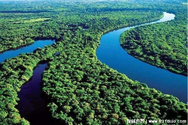 世界上最大的平原top10，亚马逊平原第一(中国两个上榜)