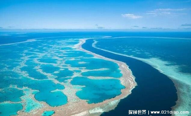 世界上最大的海是什么海，太平洋的珊瑚海(479.1万平方公里)