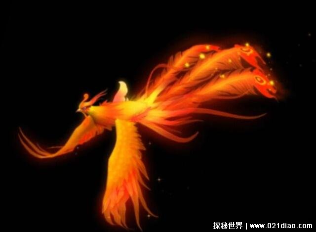世界上最后一只凤凰，黑龙江村民疑似拍到凤凰照片(假的)