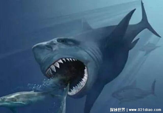 沧龙vs巨齿鲨谁厉害，巨齿鲨更胜一筹(海洋霸主)