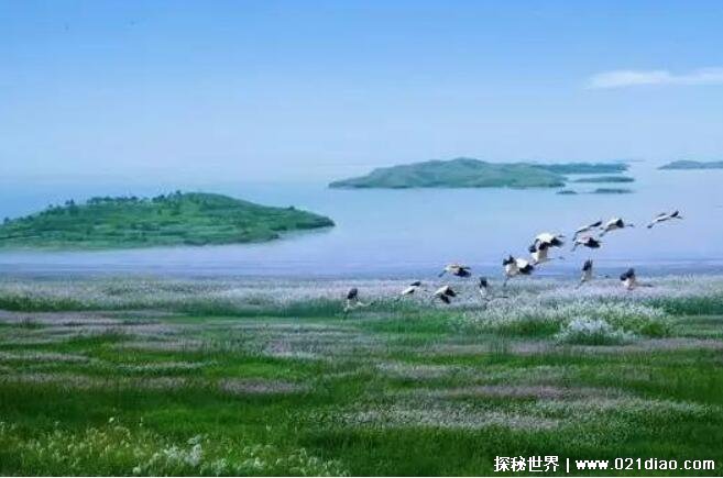 我国面积最大的湖泊是哪个湖，青海湖(总面积4583平方千米)
