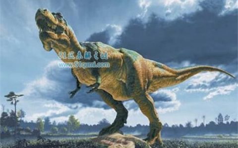 揭秘恐龙的八大真相 恐龙曾经历过两次大灭绝?