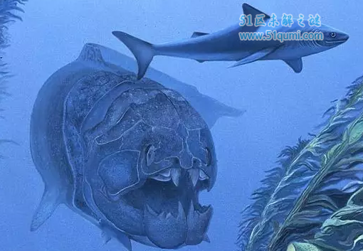 邓氏鱼VS巨齿鲨谁厉害?它是因为什么而灭绝的?
