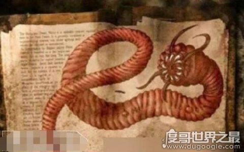 科幻般的蒙古死亡蠕虫真的存在，能放出强电流秒杀数米外生物