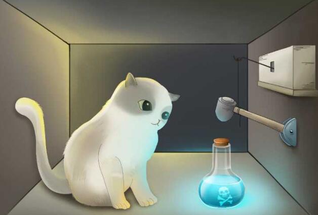 薛定谔的猫是什么意思，实为科学实验(竟是迫害猫咪)