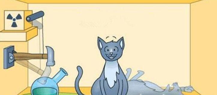 薛定谔的猫是什么意思，实为科学实验(竟是迫害猫咪)