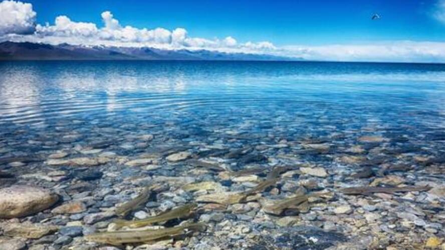 盘点十个中国最大的咸水湖，青海湖最大(4583平方千米)