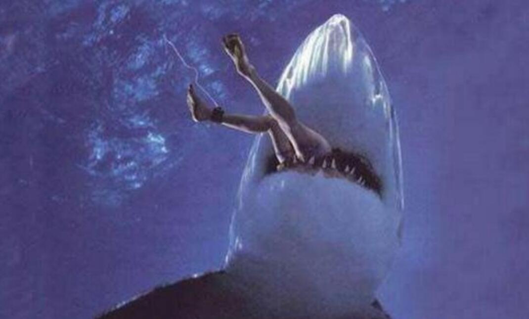 鲨鱼吃女生 家里图片