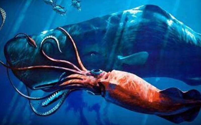 深海100000米以下生物，目前尚未发现(深海恐怖水生物揭秘)