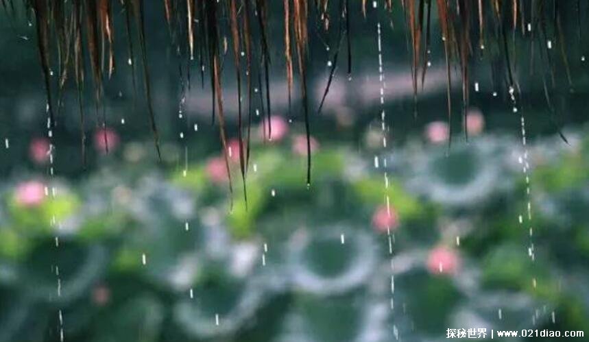 2021梅雨季节是什么时间入梅，每年六七月份的连续阴雨期