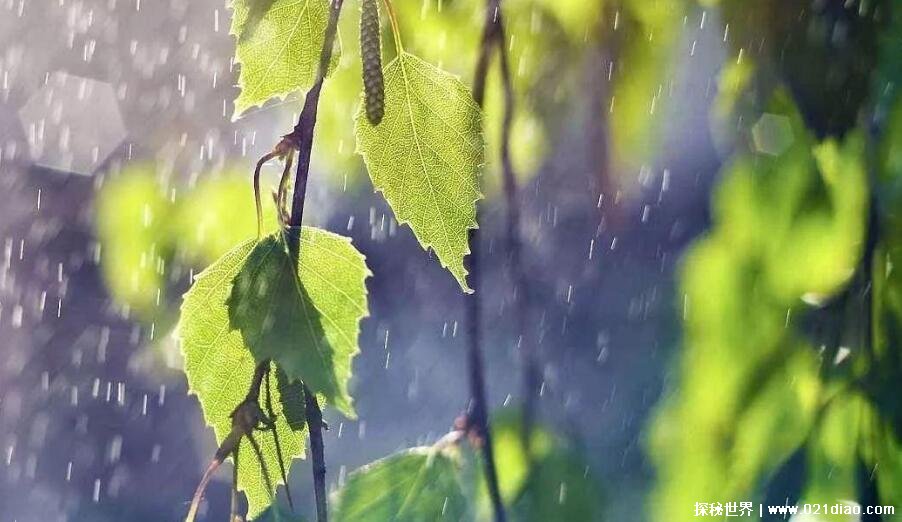 2021梅雨季节是什么时间入梅，每年六七月份的连续阴雨期