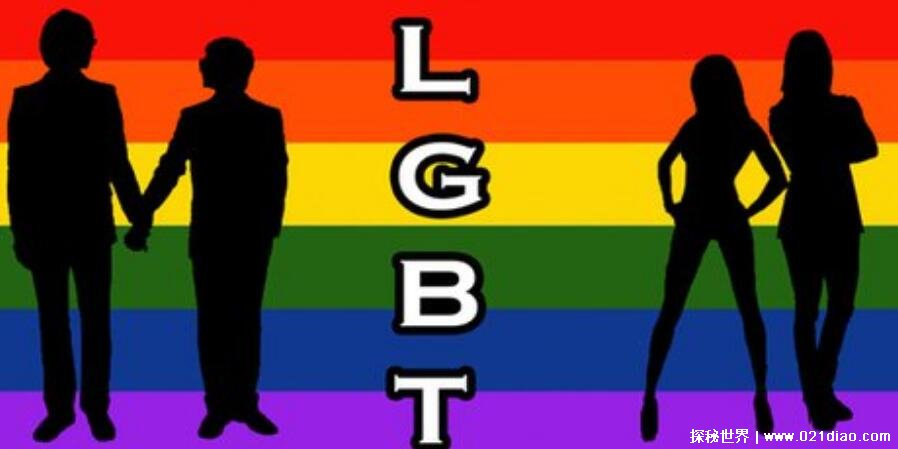 网络用语lgbt是什么意思，四种非异性恋人群的缩写