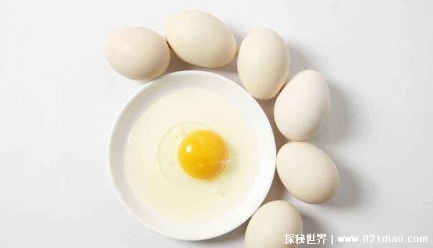 十大高蛋白食物排行榜一览表，鸡蛋最优质(想变壮多吃肉)