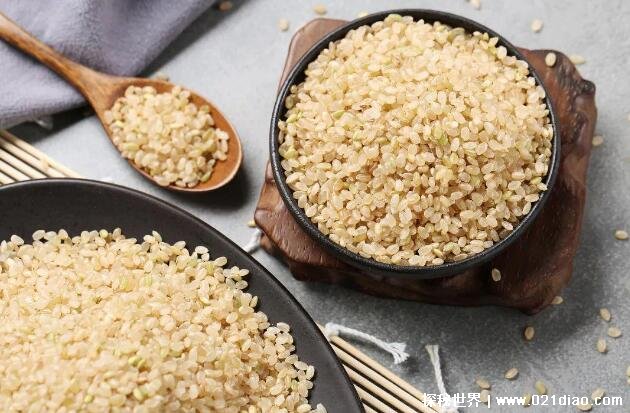 糙米是什么米吃糙米的好处，口感差营养好的米(建议和大米轮换吃)