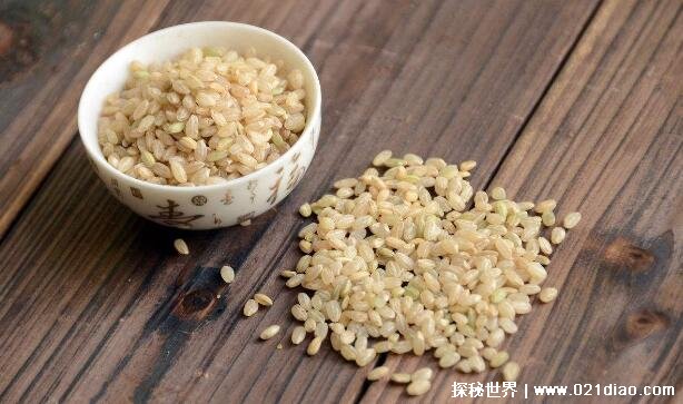 糙米是什么米吃糙米的好处，口感差营养好的米(建议和大米轮换吃)