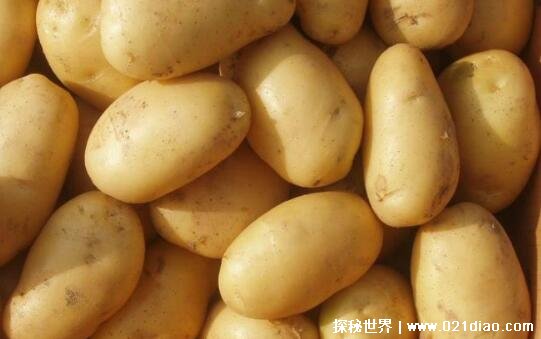 八大热量最低的主食排行，土豆最低推荐食用(大米仅排第五)