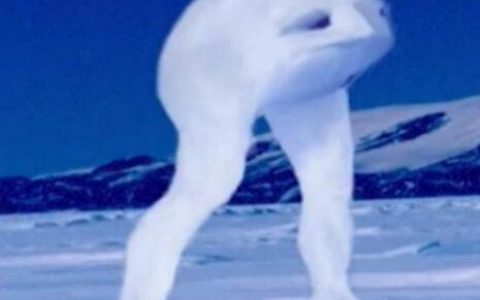 南极不明生物宁恩水怪视频，其实并不存在(只是都市传说)