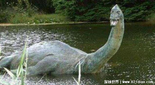 世界上唯一一只恐龙，刚果恐龙(竟被人杀了吃了)